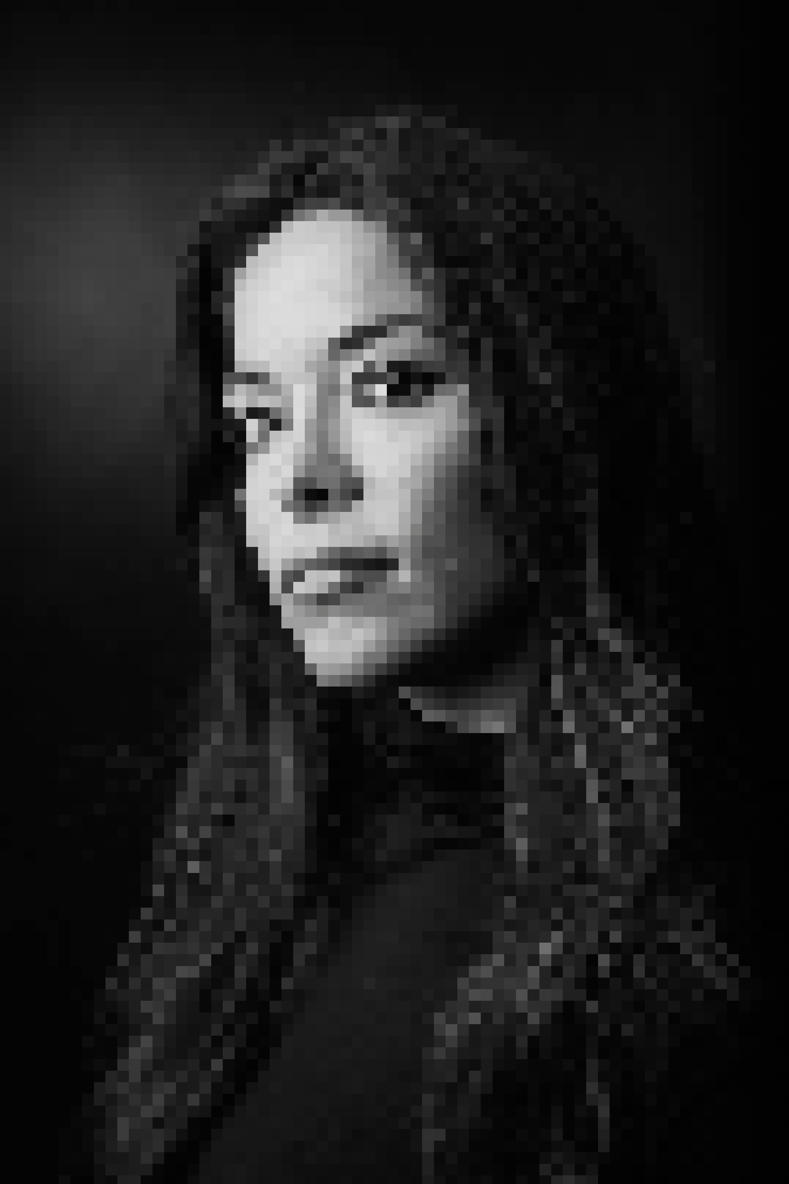 Black and white pixel portrait of Roxana dT